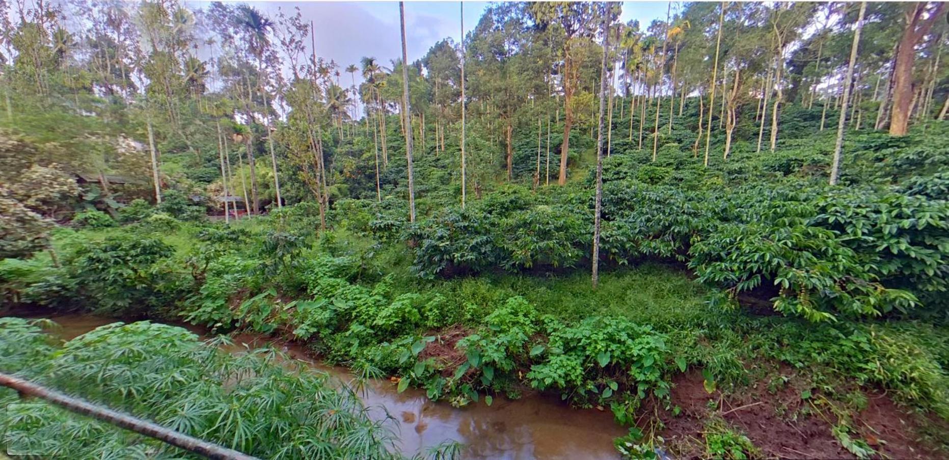 Wayanad Royal Stream Kalpetta Exterior foto
