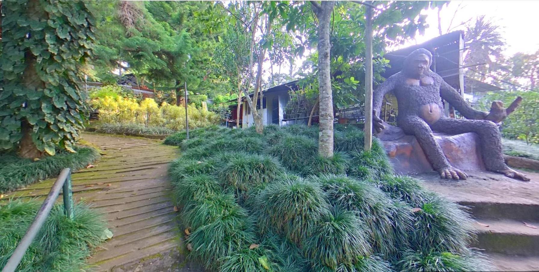 Wayanad Royal Stream Kalpetta Exterior foto