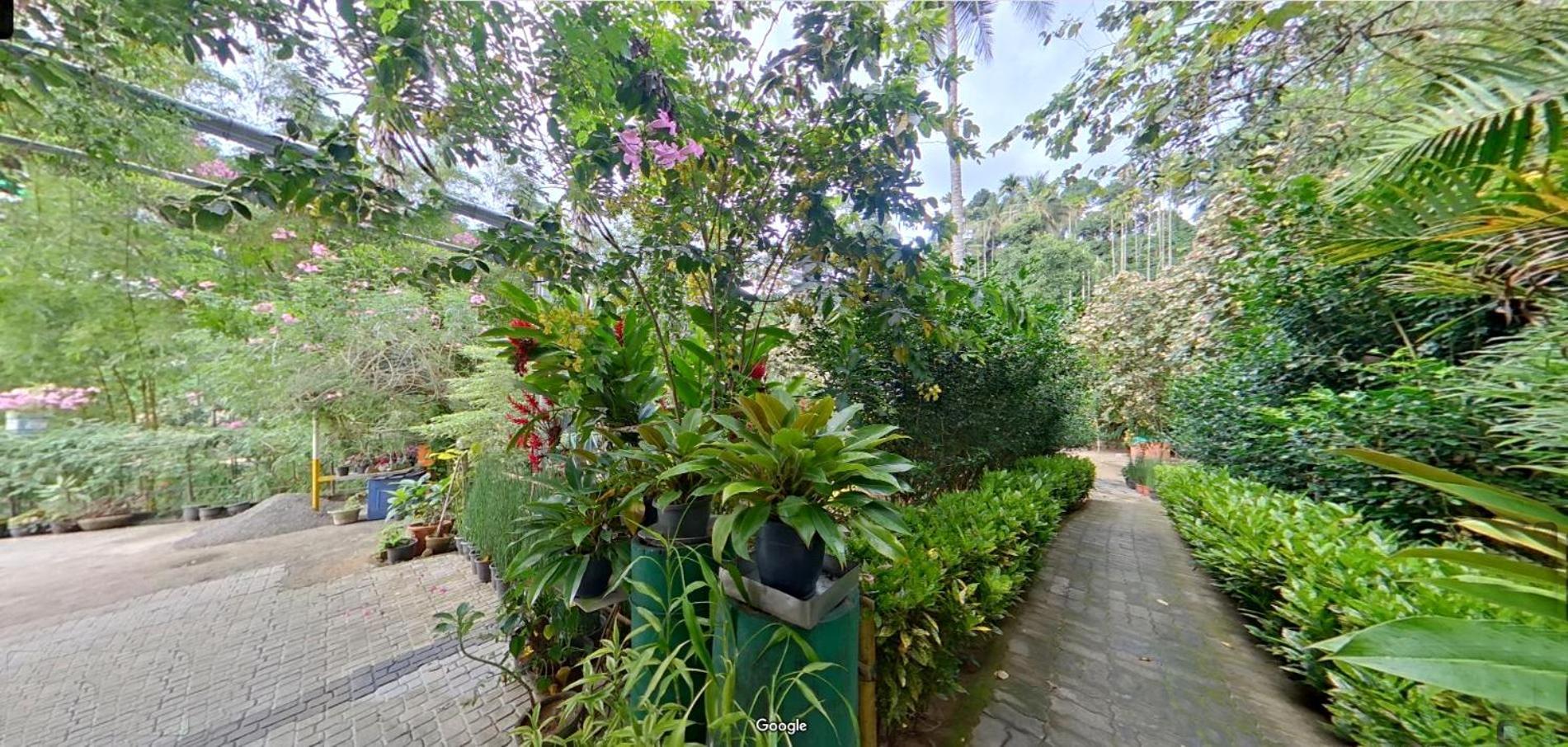 Wayanad Royal Stream Kalpetta Exterior foto