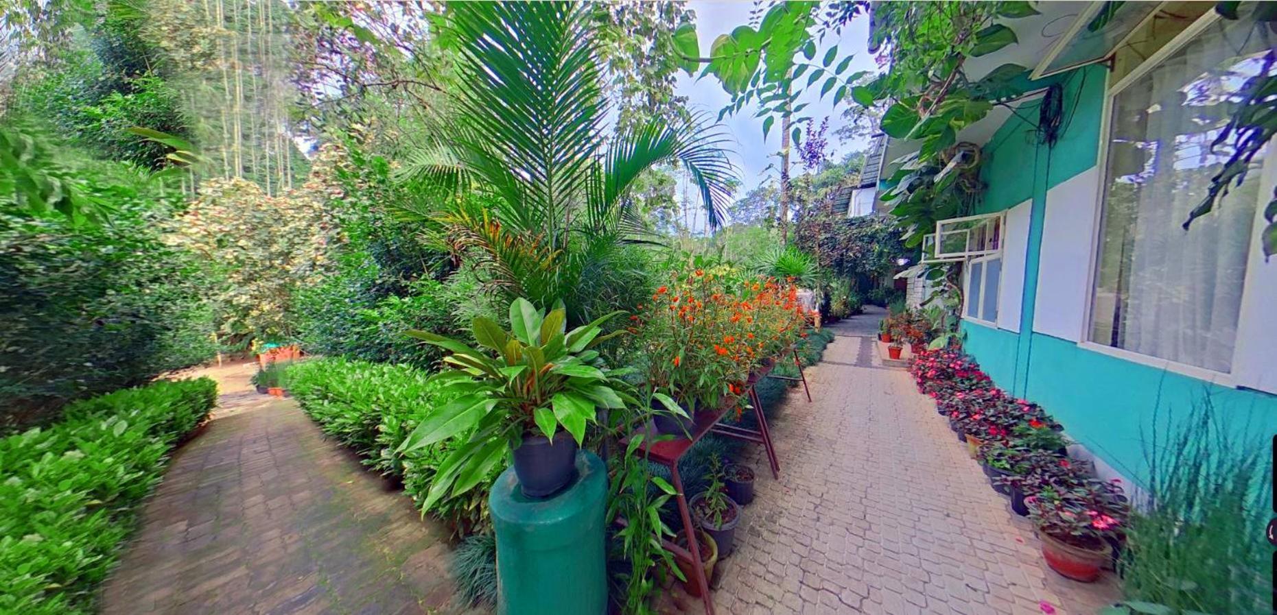 Wayanad Royal Stream Kalpetta Exterior foto